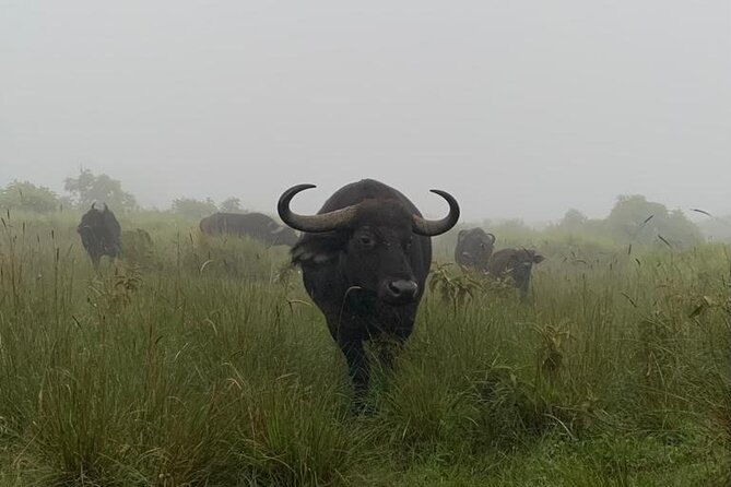 03 days Serengeti and Ngorongoro Crater group (camping) - What the $815 price really covers