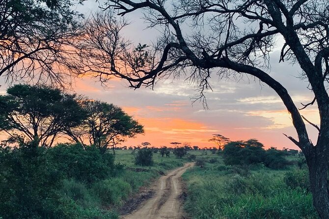 03 days Serengeti and Ngorongoro Crater group (camping) - Day three: A concentrated wildlife morning in Ngorongoro Crater