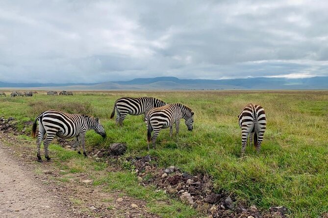 04 Days Tarangire, Serengeti and Ngorongoro crater group (Camping - What this four-day safari is really offering