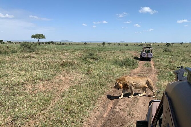 04 Days Tarangire, Serengeti and Ngorongoro crater group (Camping - Day 2: The road to Serengeti via Nabi Hills