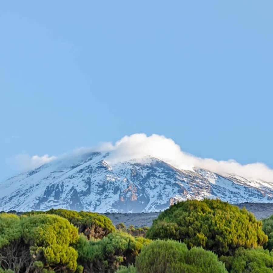 #1. Best Kilimanjaro Day hike Tour-Machame Route-ISMANI - What the Machame Day Hike Really Offers