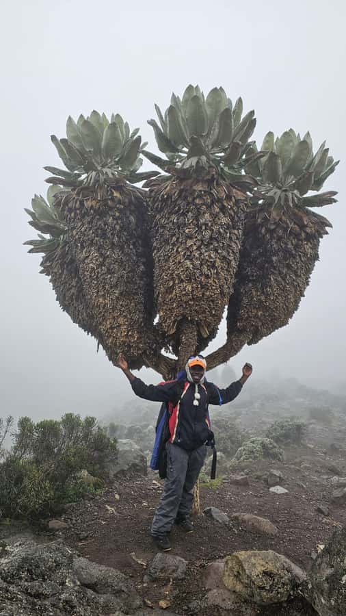 #1. Best Kilimanjaro Day hike Tour-Machame Route-ISMANI - Guides, Language, and Group Style