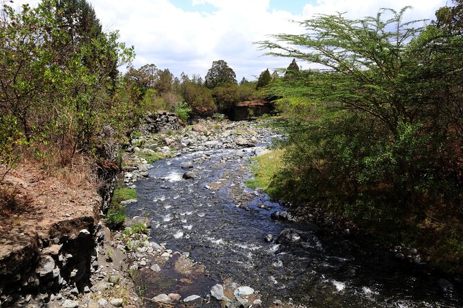 1 Day Arusha national park (Game drive and walking safari). - Why this park works for a single day