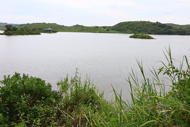 1 Day Arusha national park (Game drive and walking safari). - Game drive through Arusha National Park