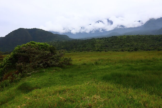 1 Day Arusha national park (Game drive and walking safari). - The walking safari with a park ranger