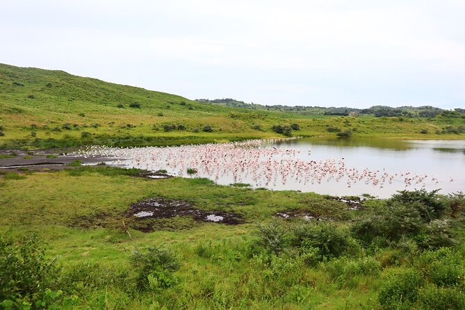 1 Day Arusha national park (Game drive and walking safari). - Momela Lakes and changing scenery