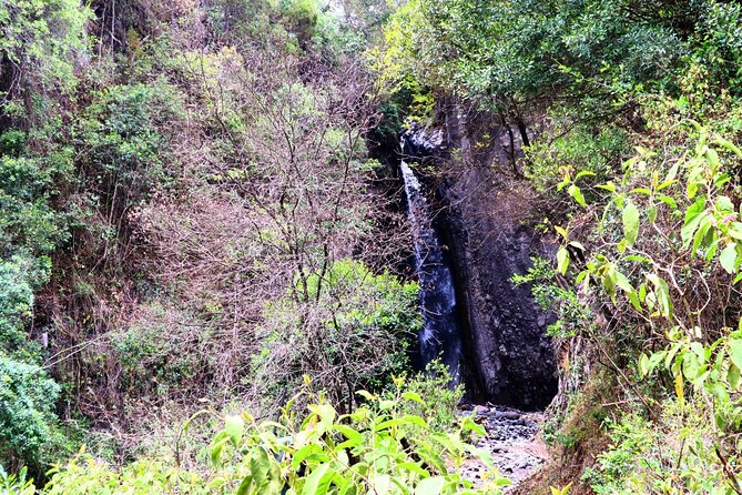 1 Day Arusha national park (Game drive and walking safari). - Is $450 per person good value?