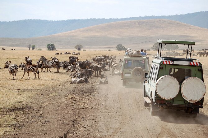 1-Day Fly in Shared Safari to Mikumi National Park from Zanzibar - The 4:30 am beginning in Stone Town