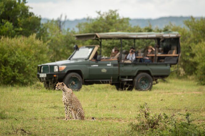1-Day Fly in Shared Safari to Mikumi National Park from Zanzibar - What the $590 price really covers