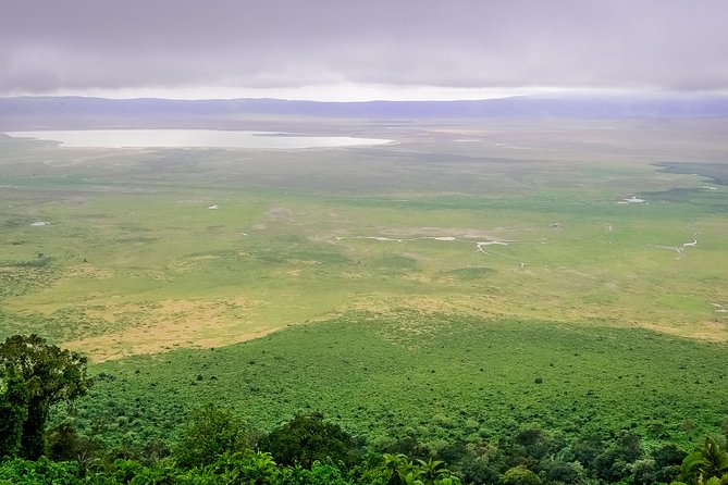 1 Day Joined Group Safari in Ngorongoro Crater National Park - Why Ngorongoro Crater works for a one-day safari