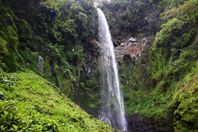 1 Day Kilimanjaro forest (mambori waterfalls). - Key points to know before booking