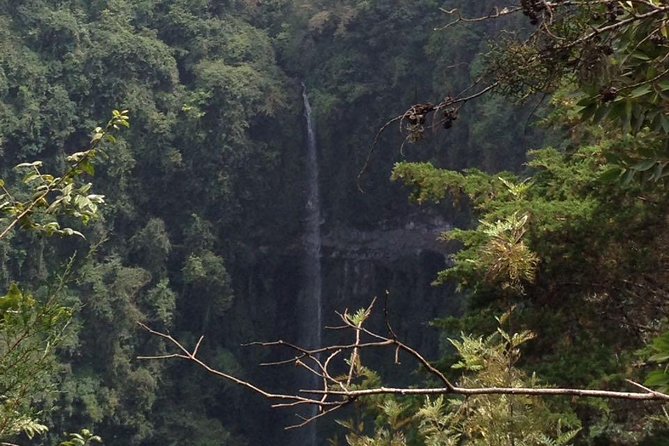 1 Day Kilimanjaro forest (mambori waterfalls). - Why Mambori Waterfall makes a worthwhile day trip