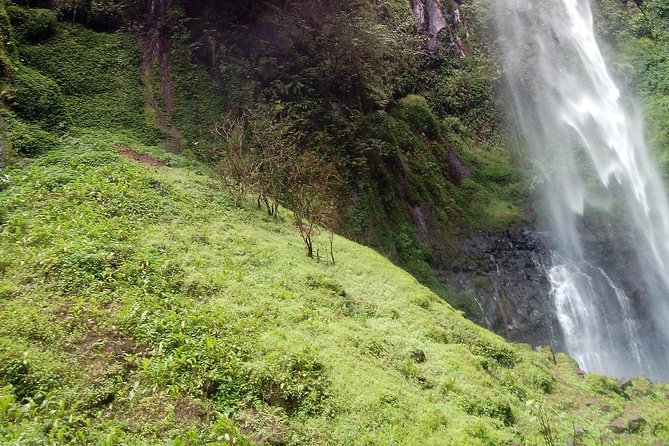1 Day Kilimanjaro forest (mambori waterfalls). - What the $160 price includes