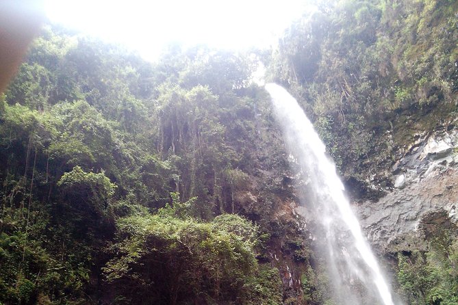 1 Day Kilimanjaro forest (mambori waterfalls). - Who will enjoy this hike most