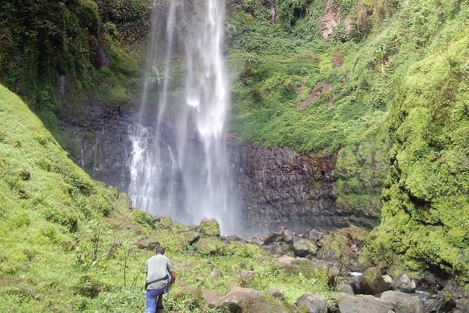 1 Day Kilimanjaro forest (mambori waterfalls). - The morning pickup from Arusha or Moshi