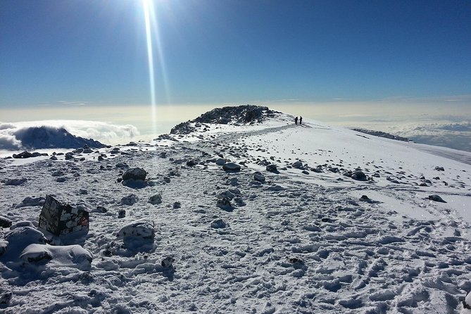 1 Day Kilimanjaro Hiking - Machame Route - Reaching the Shira Plateau
