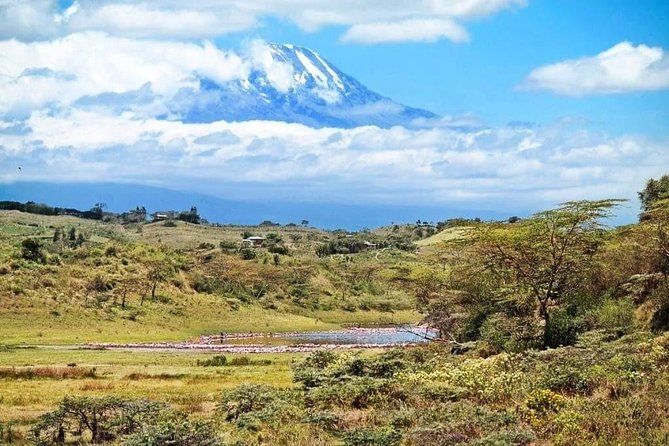1 Day Kilimanjaro Hiking - Machame Route - Barafu and the stated summit plan