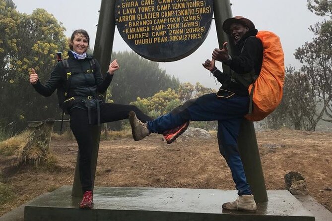 1 Day Kilimanjaro Hiking - Machame Route - Through the rainforest to Machame Gate