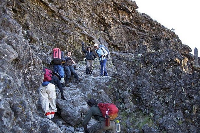 1 Day Marangu Route Climbing Kilimanjaro - What this one-day Kilimanjaro trip really includes