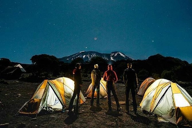 1 Day Marangu Route Climbing Kilimanjaro - Walking through the forest toward Mandara Hut
