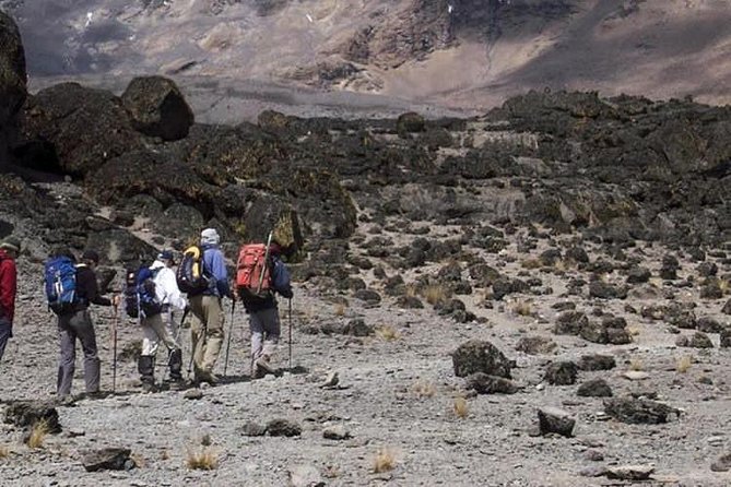 1 Day Marangu Route Climbing Kilimanjaro - Who will like this day hike most