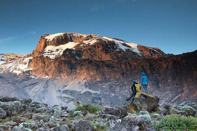 1 Day Marangu Route Climbing Kilimanjaro - Practical details that matter on the day