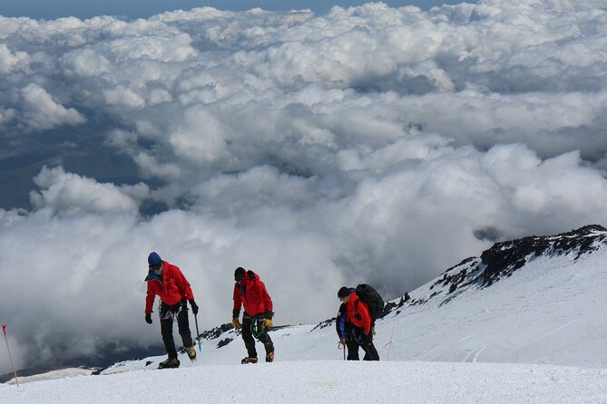 1 Day Marangu route trip up to Mandara Hut | Kilimanjaro hiking - Mandara Hut at 2,743 Meters