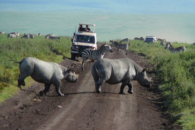 1 Day Ngorongoro Crater Group Jioning Safari - Why Ngorongoro Crater makes a strong one-day safari