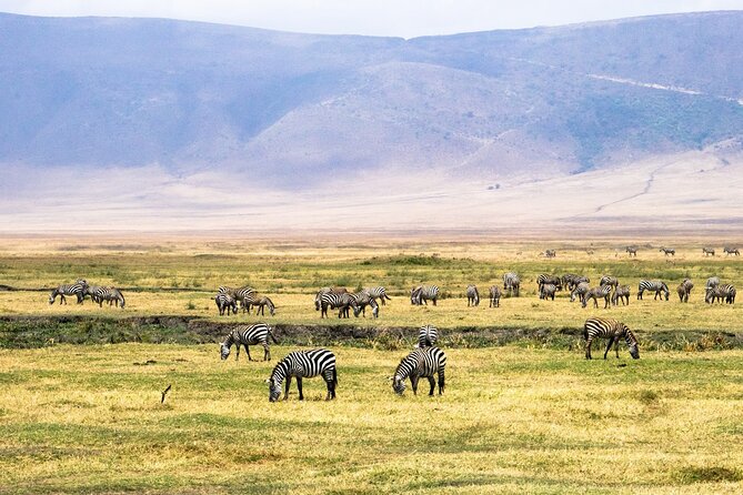 1 Day Ngorongoro Crater Group Jioning Safari - Descending to the crater floor for the game drive