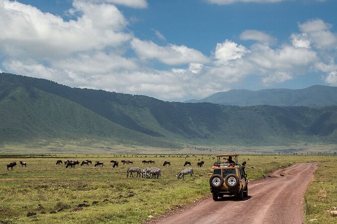 1 Day Ngorongoro Crater Group Jioning Safari - The Ngoitokok swamp picnic and hippo pool