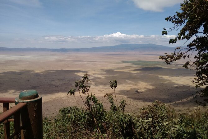 1 Day Ngorongoro Crater Group Jioning Safari - Afternoon wildlife viewing before the climb out