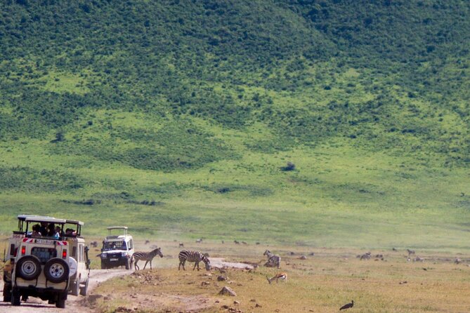1 Day Ngorongoro Crater Group Jioning Safari - Guides, communication, and the human side of the trip