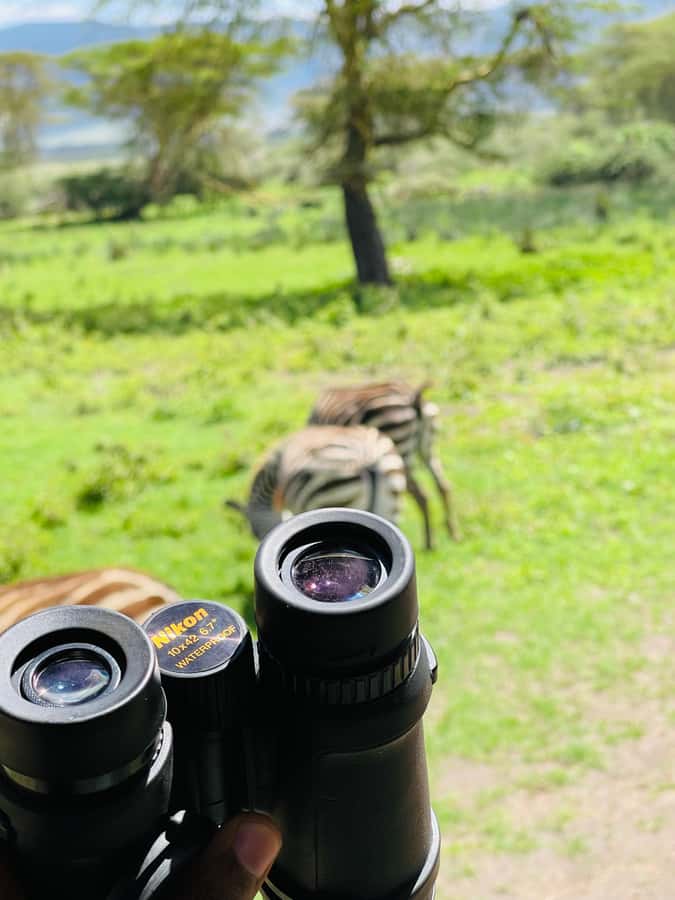 1 Day Ngorongoro Crater Group joining safari - Birds, water, and the Ngoitokok lunch stop