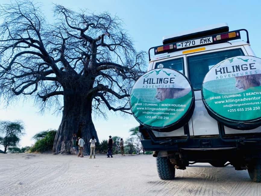 1-Day Ngorongoro Crater Special Big 5- Joining Group Safari - The Crater Rim and the 600-Meter Descent