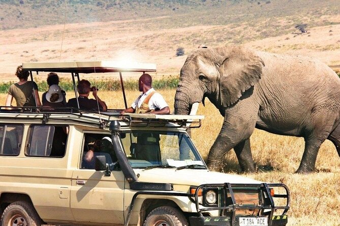 1 Day Private Ngorongoro Crater Safari - Why Ngorongoro Works as a One-Day Safari