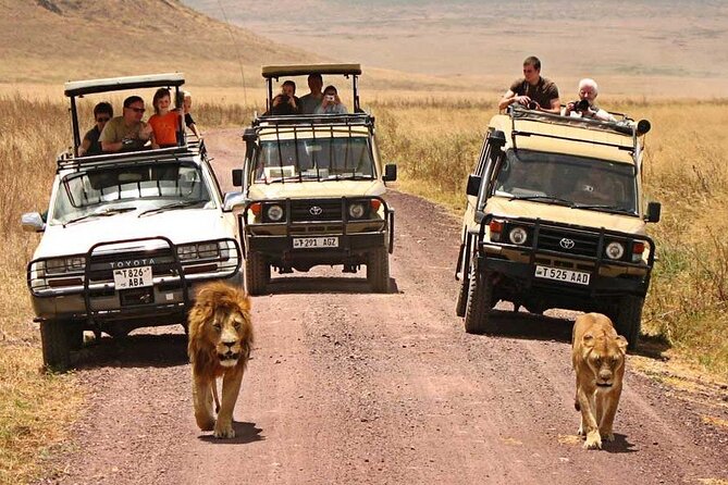 1 Day Private Ngorongoro Crater Safari - Lunch Beside the Hippo Pool