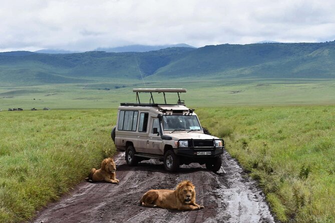 1 Day Private Ngorongoro Crater Safari - How the Private Format Changes the Day