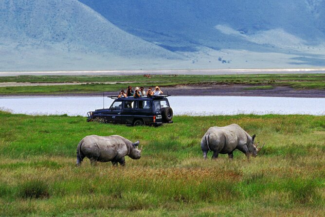 1 Day Private Ngorongoro Crater Safari - The Dawn Pickup and Long Drive from Arusha