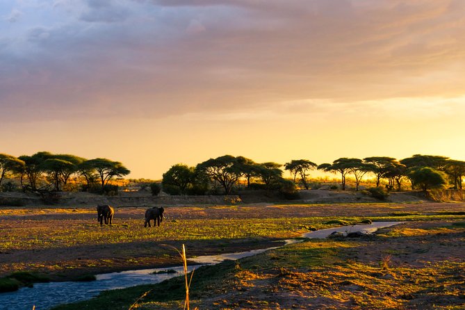 1-Day Ruaha National Park - Along the Ruaha River and beneath old baobabs