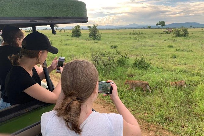 1 Day Safari to Mikumi National Park - The 04:00 pickup sets the pace