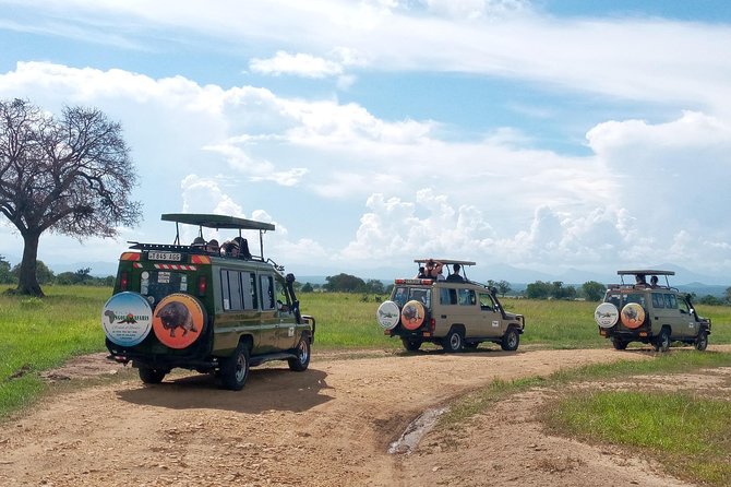 1 Day Safari to Mikumi National Park - A game drive built around a tight schedule