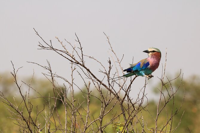 1-Day Safari-Trip to Tarangire National Park - Leaving Arusha for Tarangire National Park