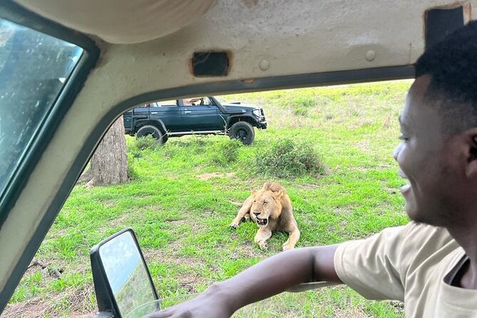 1. Day safaris to Mikumi by Train from dar es salaam - Four things to know before you book
