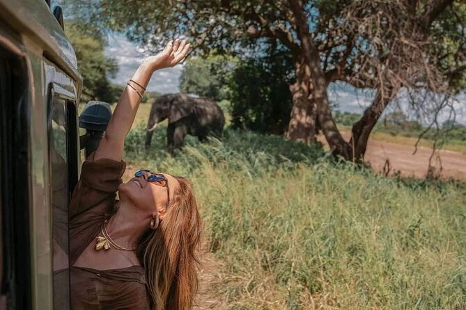 1. Day safaris to Mikumi by Train from dar es salaam - The early start from Dar es Salaam