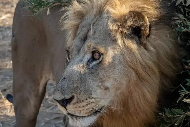 1. Day safaris to Mikumi by Train from dar es salaam - Arriving at Mikumi National Park