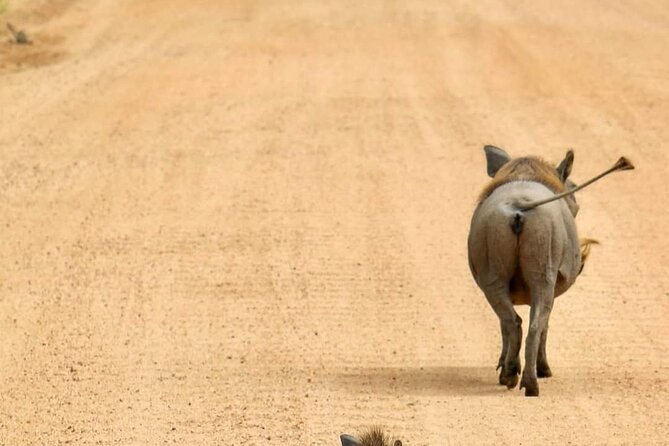 1. Day safaris to Mikumi by Train from dar es salaam - Riding the SGR train toward Morogoro