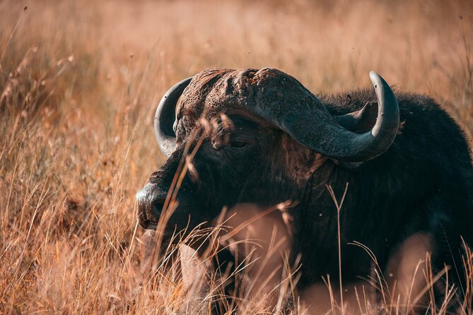 1-Day Selous (Nyerere National Park) Fly-In Safari from Zanzibar - Why this Zanzibar safari makes sense