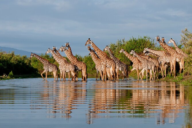 1-Day Selous (Nyerere National Park) Fly-In Safari from Zanzibar - Entering Nyerere National Park by air