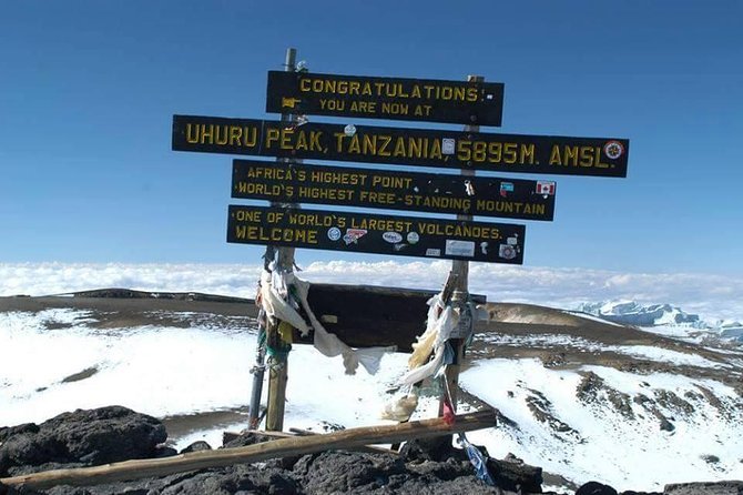 1 day tour hike mount kilimanjaro through marangu route - The Two-Hour Descent to Marangu Gate