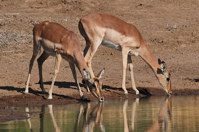 1 days Tanzania Sharing Joining group Safari - Ngorongoro Crater - Is $270 good value?